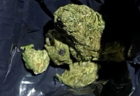 MUPTK